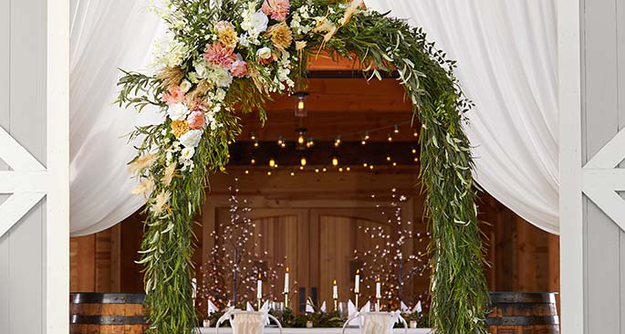 Arches & Backdrops